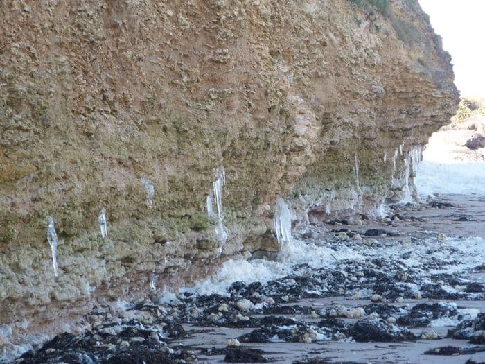 Visuel de l’événement « Du fossile à l'actuel au Cap Romain »