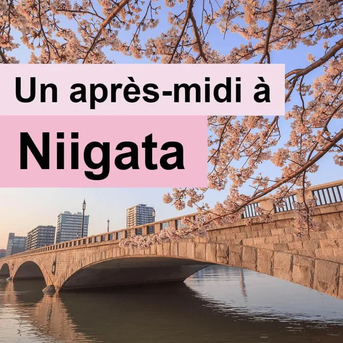 Visuel de l’événement « Un après-midi à Niigata »