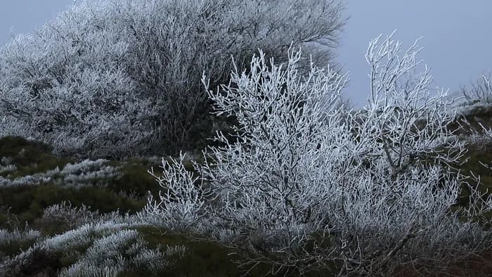 Visuel de l’événement « Station Lacaune, Enfance Gelée »
