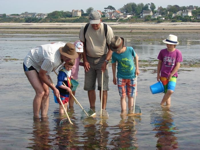 Visuel de l’événement « Atelier familles "A vos épuisettes ! découverte des trésors du littoral" »