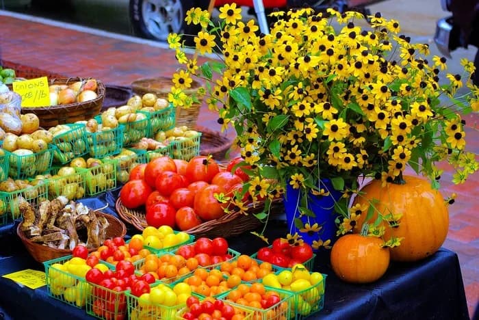 Visuel de l’événement « Marché de Chilleurs-aux-Bois - Jeudi »