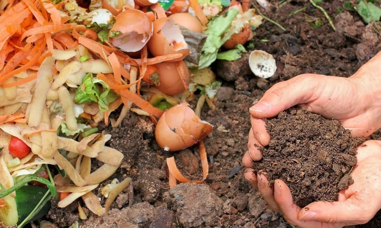 Visuel de l’événement « SEVRES - ♻️Découverte du compostage avec un maitre composteur 🌱 »