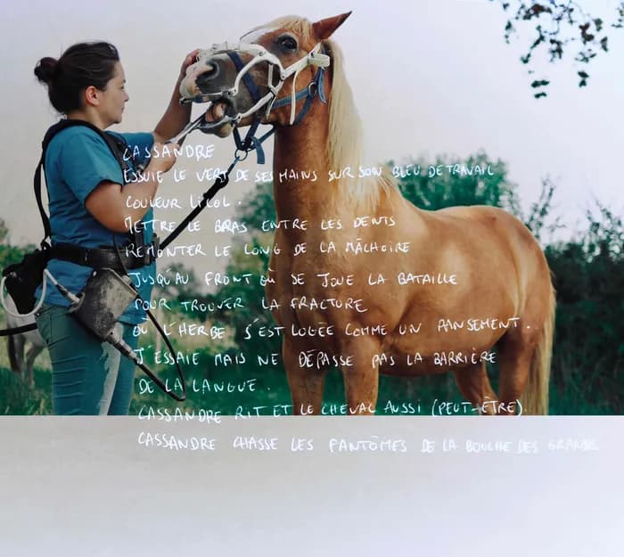 Visuel de l’événement « Exposition ‘’Cheval[es] féminin et pluriel’’ »