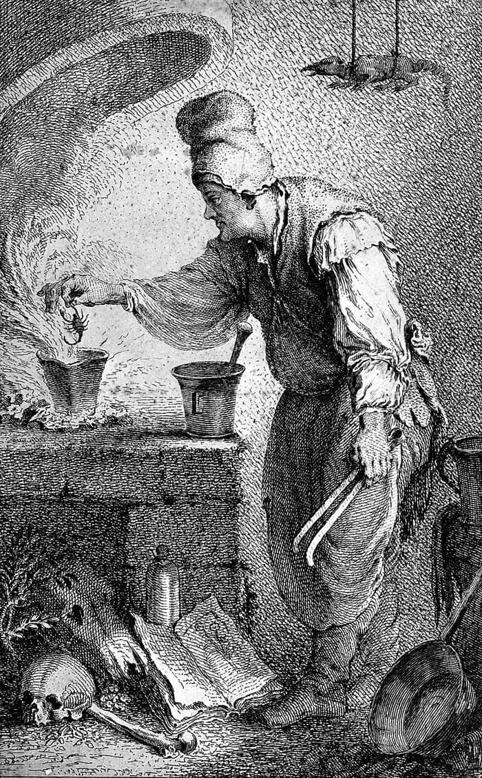 Visuel de l’événement « Sortilèges botaniques : Au royaume des plantes mortelles »