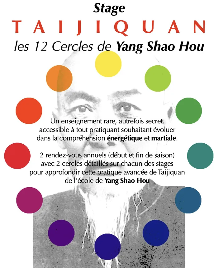 Visuel de l’événement « Stage de Taijiquan (Tai Chi Chuan) Martial & Santé »