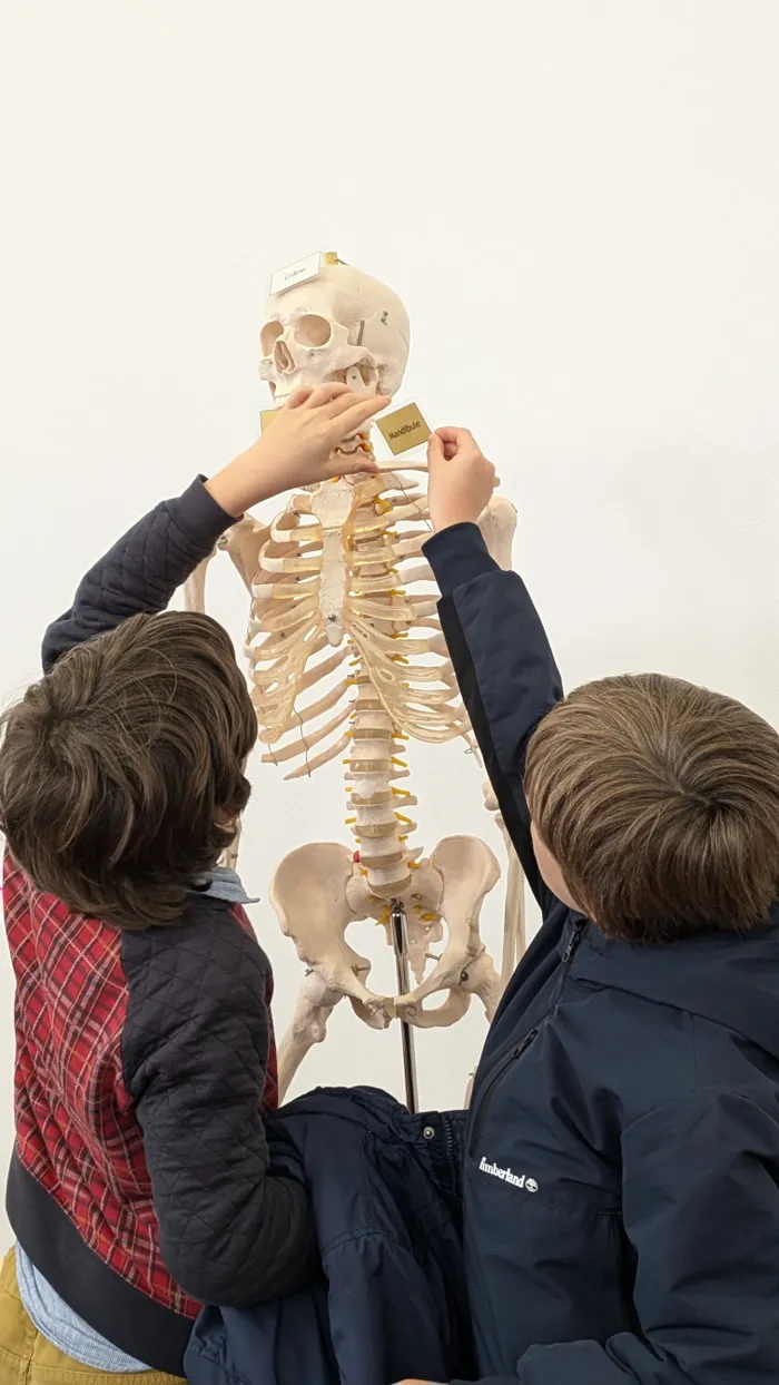 Visuel de l’événement « Atelier faire parler les morts, l’archéo-anthropologie »