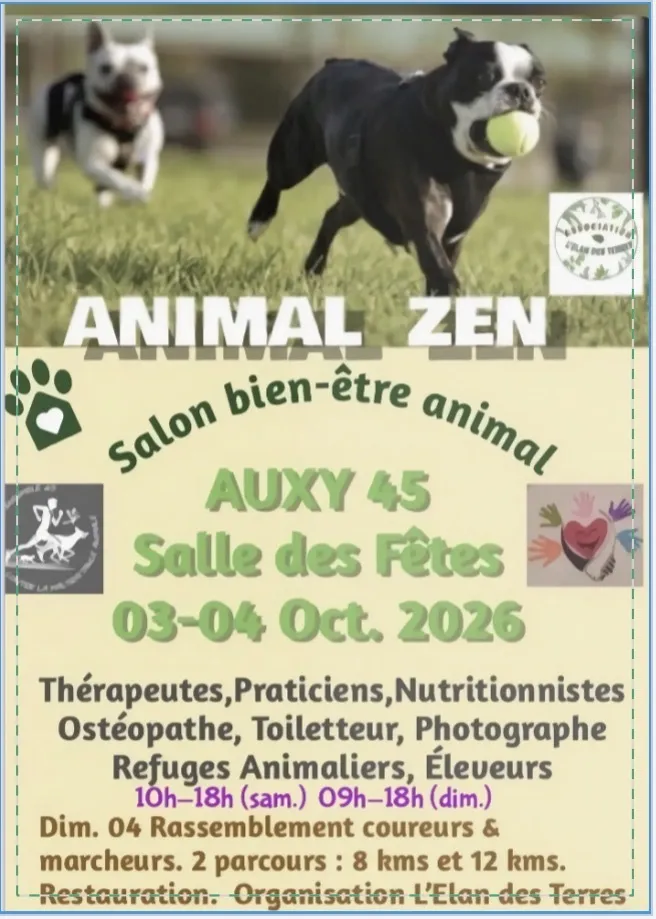 Visuel de l’événement « Salon Animal Zen »
