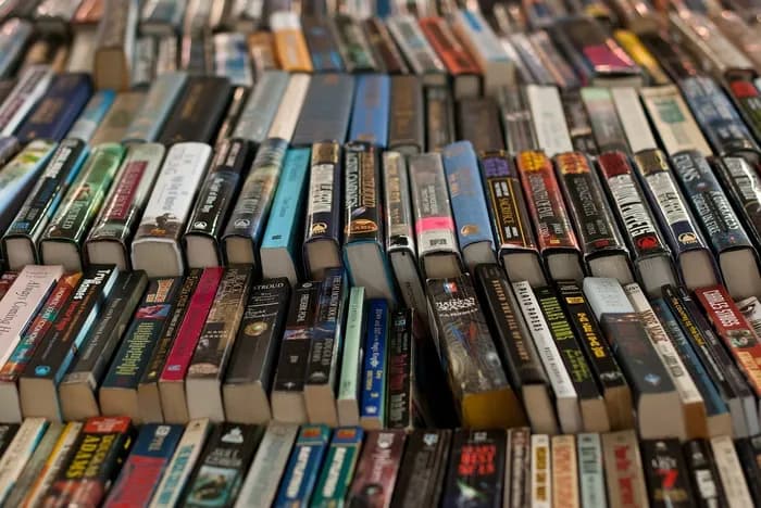 Visuel de l’événement « Marché aux livres et aux disques anciens - Orléans »