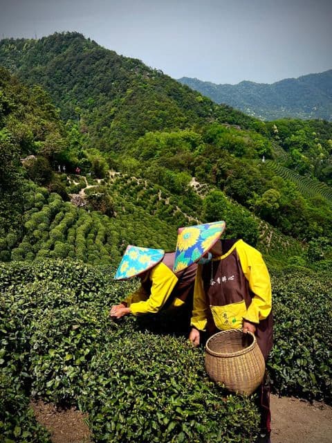 Visuel de l’événement « DU ZHEJIANG A L'ANHUI AU FIL DU FLEUVE QJANTANG »