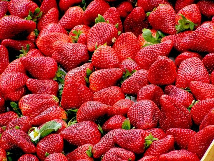 Visuel de l’événement « Marché de Fleury-les-Aubrais - Dimanche »