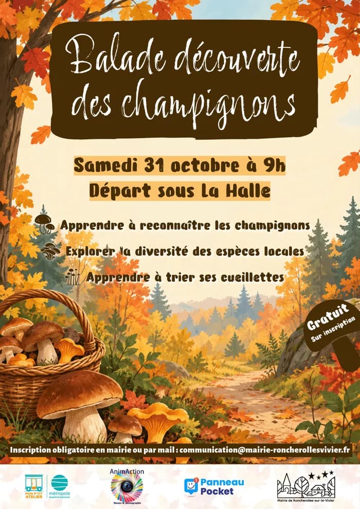 Visuel de l’événement « Balade découverte des champignons - Roncherolles-sur-le-Vivier »