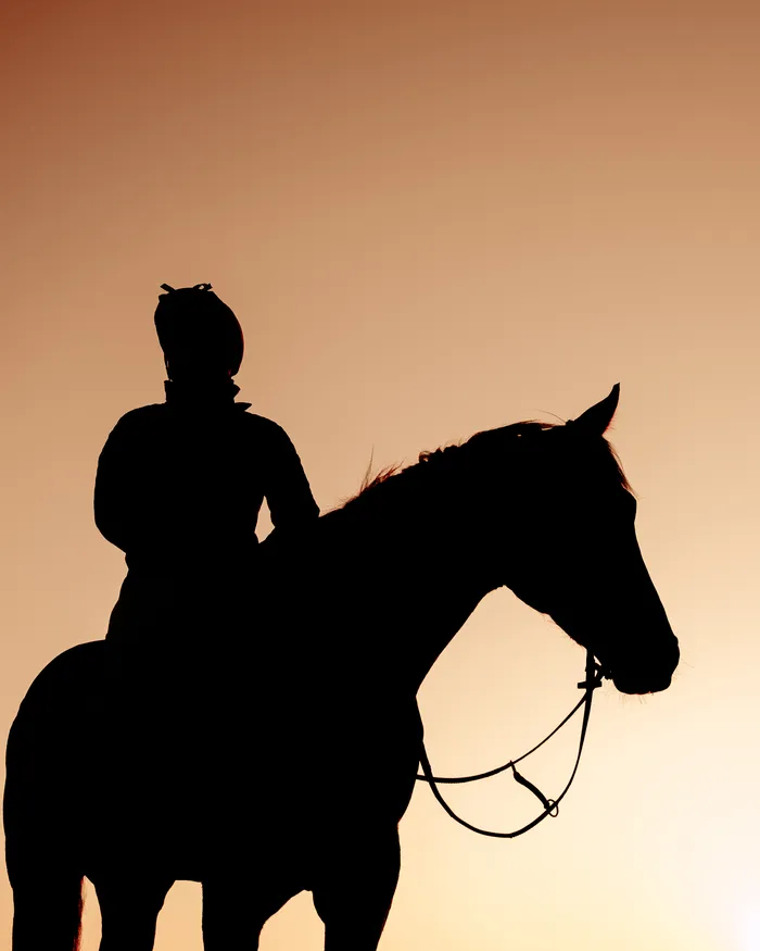 Visuel de l’événement « Exposition ''Le cheval pur-sang à Deauville'' au Pôle International du Cheval Longines - Deauville »