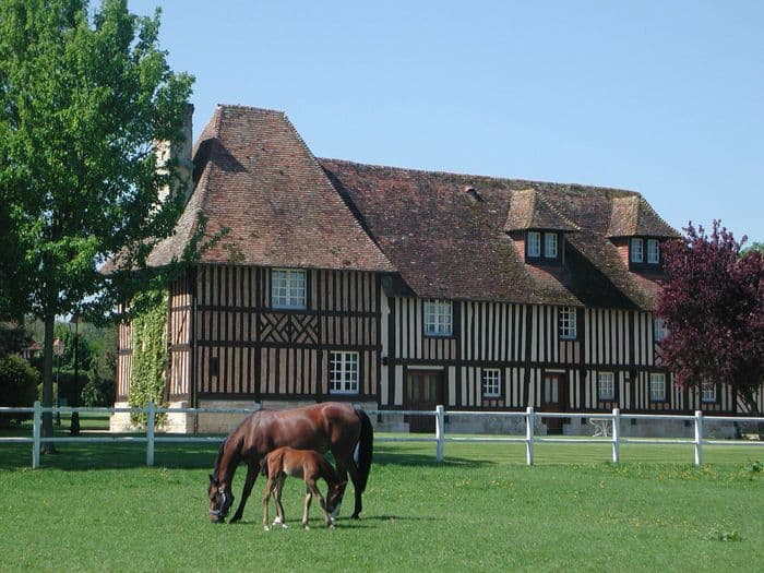 Visuel de l’événement « Visite du Haras de la Barbotière »