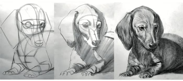 Visuel de l’événement « Mon animal en dessin »