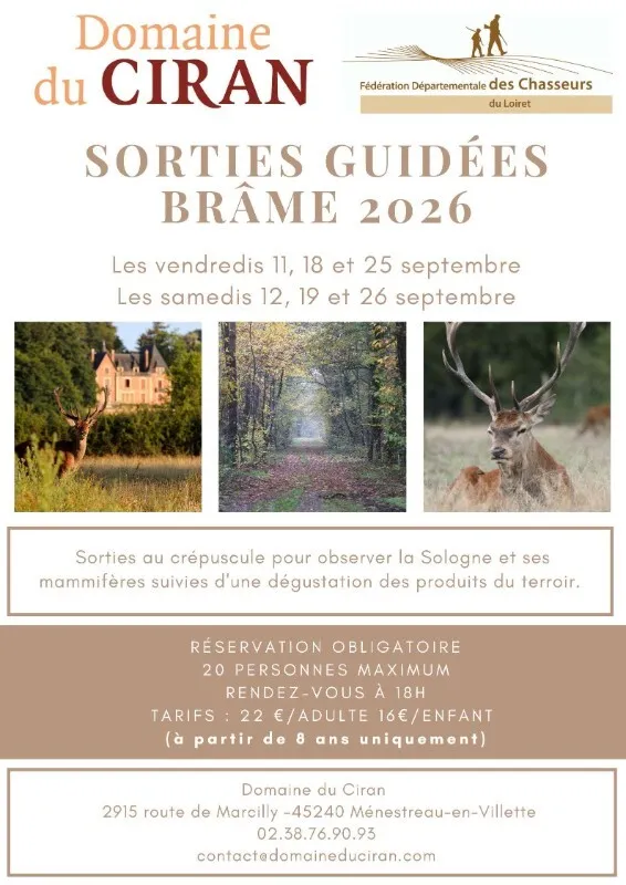 Visuel de l’événement « Sorties brâme 2026 »