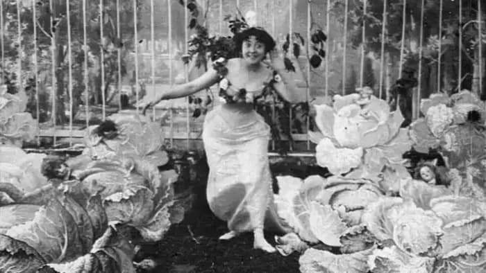 Visuel de l’événement « Les femmes oubliées du cinéma »
