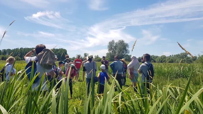 Visuel de l’événement « Les plantes oubliées du Marais du Trait »