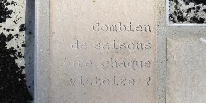 Visuel de l’événement « Visites commentées de l’œuvre  « Combien de saisons dure chaque victoire ? » »