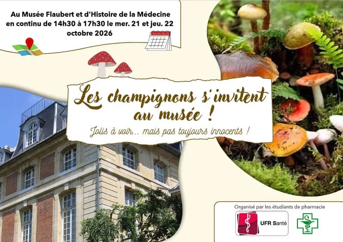 Visuel de l’événement « Animation »