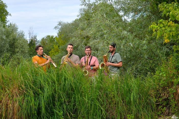 Visuel de l’événement « Sieste musicale - Saxonium »