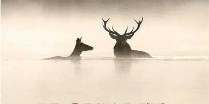 Visuel de l’événement « Le chant des forêts »