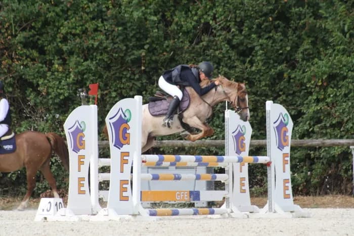 Visuel de l’événement « Concours de saut d’obstacles Club-Poney au Haras des Louveaux »