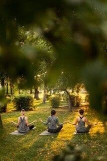 Visuel de l’événement « Journée bien être : atelier yoga et équicoaching »
