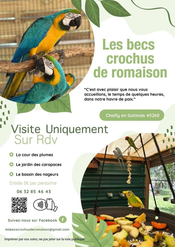 Visuel de l’événement « Visite pédagogique des Becs Crochus »