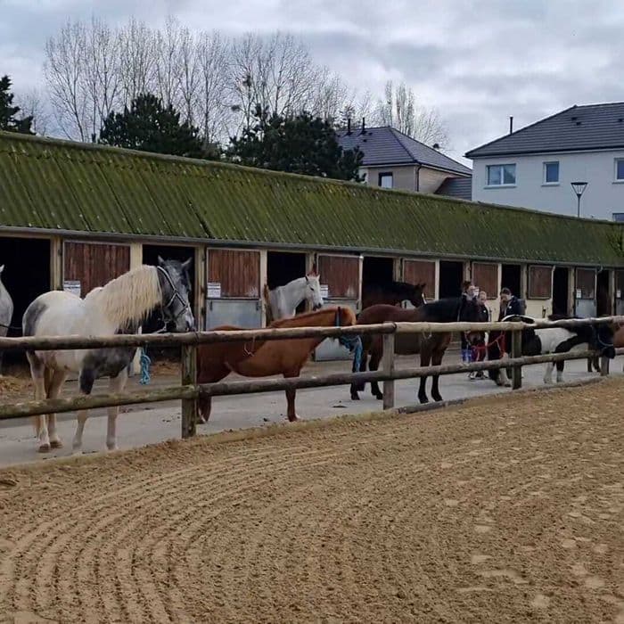 Visuel de l’événement « Portes ouvertes à Courseulles équitation »