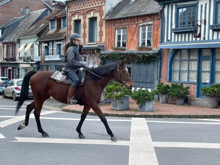 Visuel de l’événement « Visite De Beaumont en Auge à Cheval »