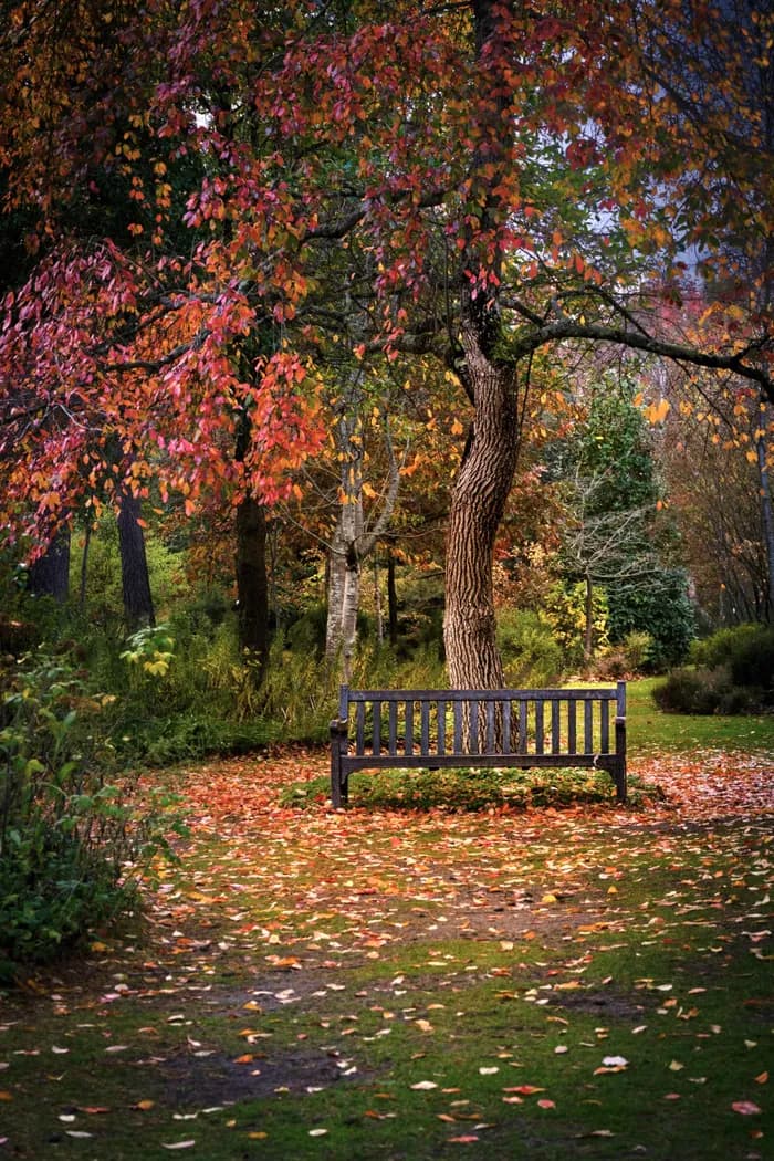 Visuel de l’événement « Concours photos : Automne »