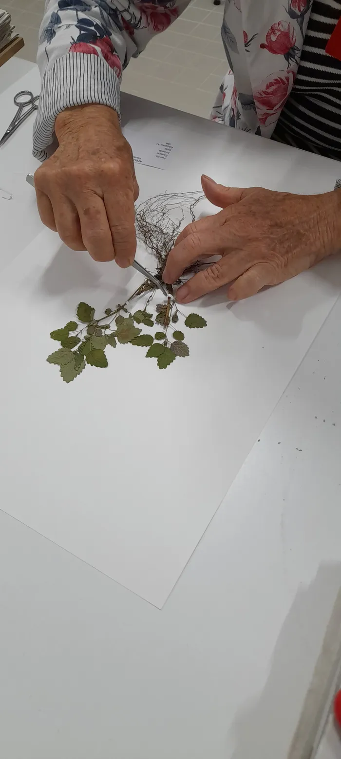 Visuel de l’événement « Ateliers créatifs »