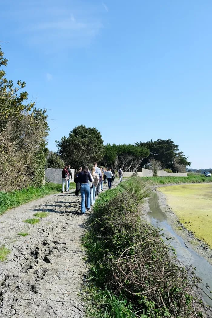 Visuel de l’événement « Visite nature dans les marais salants »