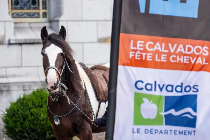 Visuel de l’événement « Village des Équidays à Lisieux »