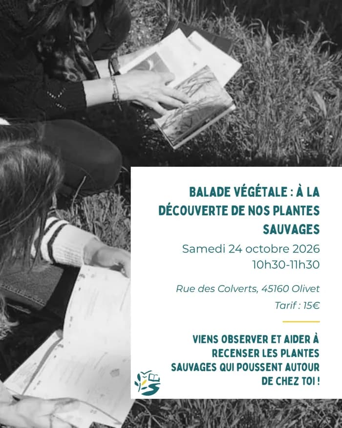 Visuel de l’événement « Balade végétale : à la découverte de nos plantes sauvages »