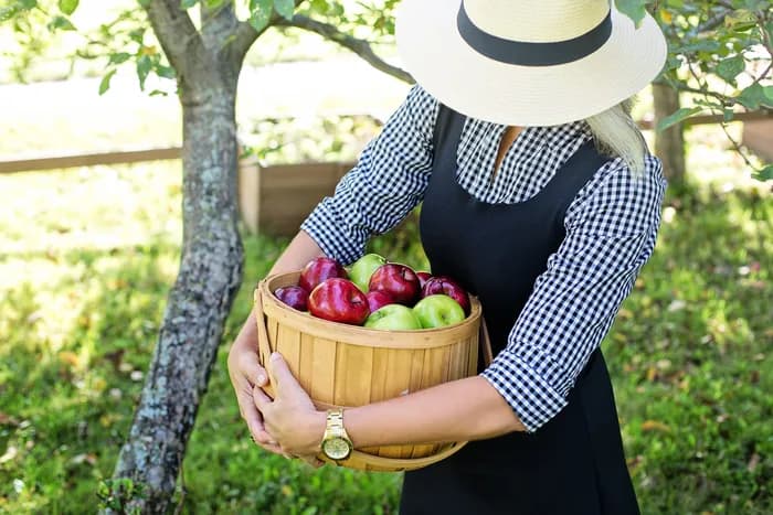 Visuel de l’événement « Fête de la Pomme »