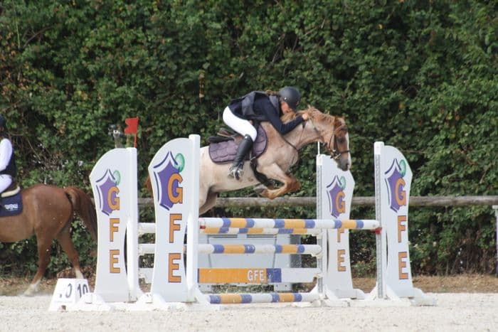 Visuel de l’événement « Concours de saut d’obstacles Club-Poney au Haras des Louveaux »