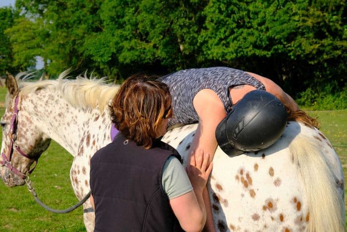 Visuel de l’événement « Séance découverte d’équithérapie chez la Bulle Equine »