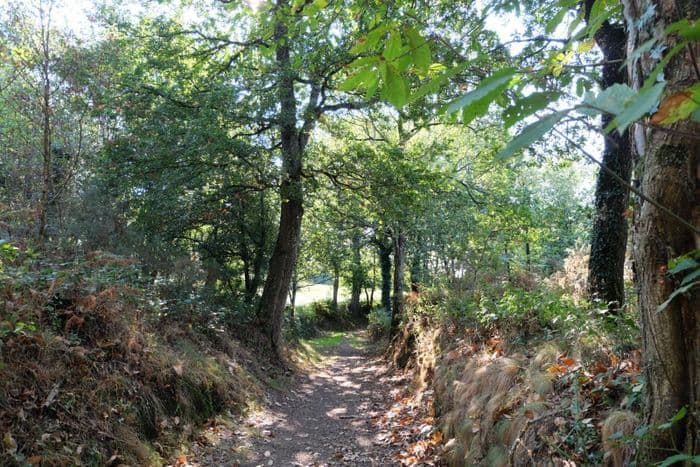Visuel de l’événement « Balade contée dans la vallée de l'Aure »