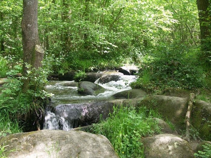Visuel de l’événement « Contes au bruit des cascades »