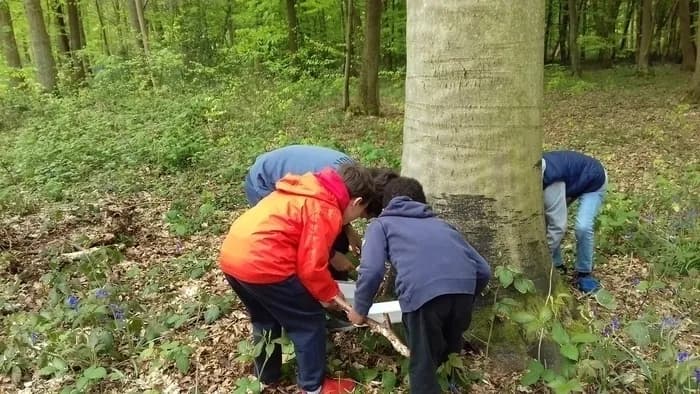 Visuel de l’événement « Stage Nature : Une semaine d’aventures au cœur de la forêt ! »