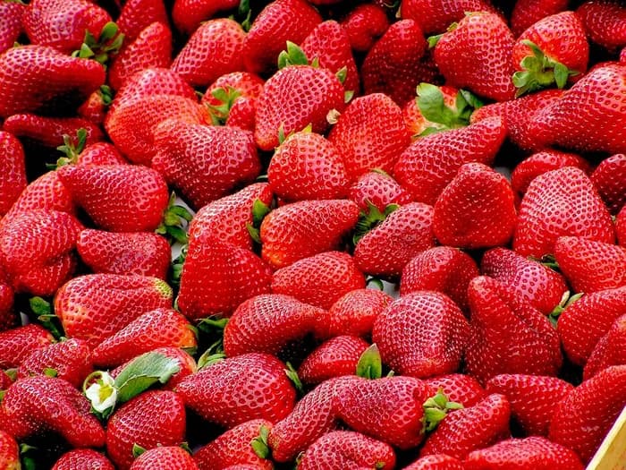 Visuel de l’événement « Marché de Boigny-sur-Bionne - Samedi »