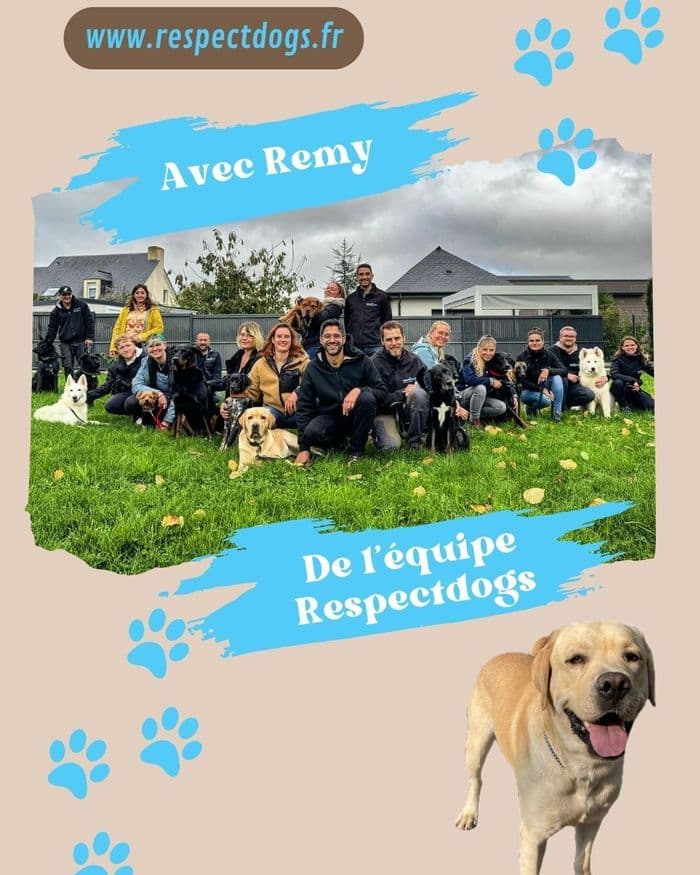Visuel de l’événement « Comprendre et connaitre son chiot/chien »
