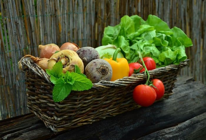 Visuel de l’événement « Marché de Saint-Denis-en-Val - Dimanche »