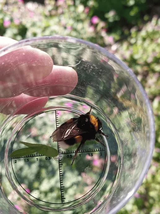 Visuel de l’événement « Ralentir : explorer l’invisible sous nos pieds »