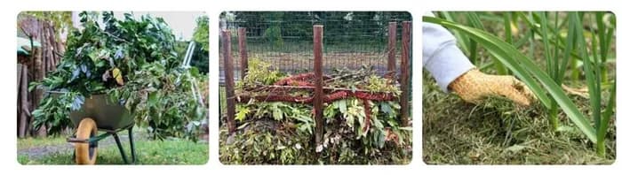 Visuel de l’événement « ATELIER JARDIN ZÉRO GASPI »