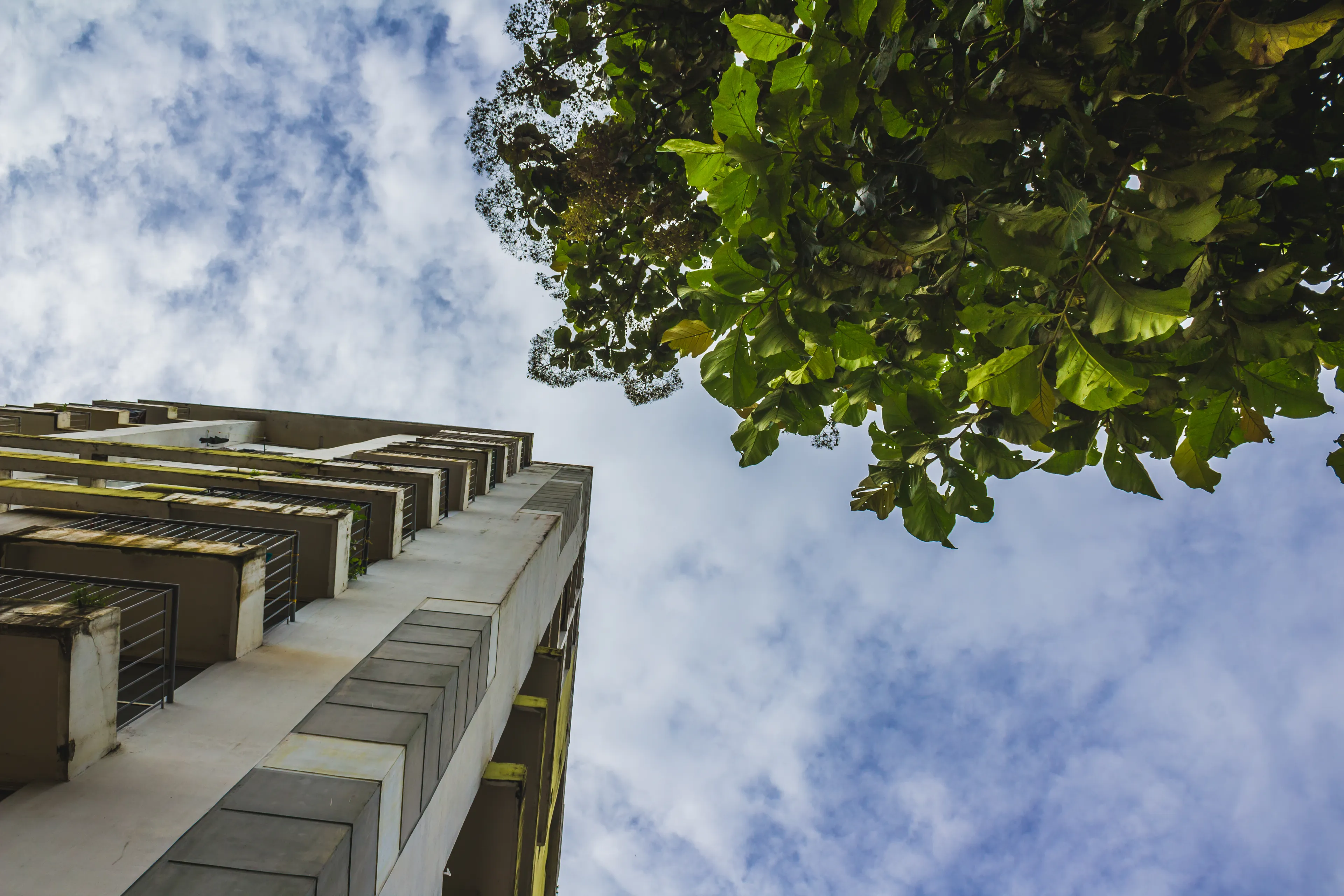 Visuel de l’événement « SEVRES - 🏡🌿 Prendre soin de son quartier »