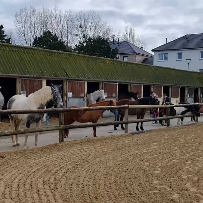 Visuel de l’événement « Portes ouvertes à Courseulles équitation »