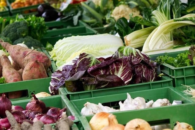 Visuel de l’événement « Marché d'Ouzouer-sur-Trézée - Dimanche »