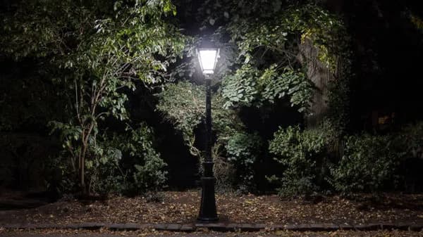 Visuel de l’événement « La pollution lumineuse »